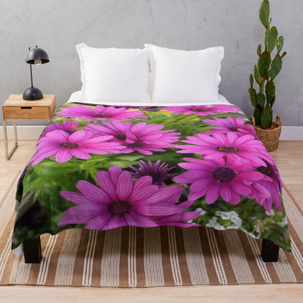 Item preview, African daisies Flowers designed and sold by Art-Bazaar.
