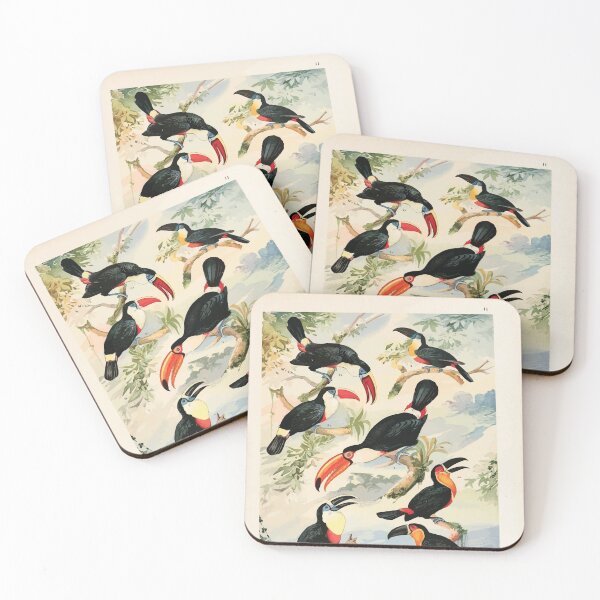 Item preview, Birds of the Amazon Album de aves amazonicas Emil Goldi 1906 013 Tucanos designed and sold by WetdryvacRB01.
