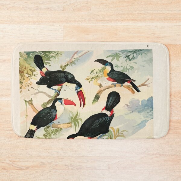 Item preview, Birds of the Amazon Album de aves amazonicas Emil Goldi 1906 013 Tucanos designed and sold by WetdryvacRB01.