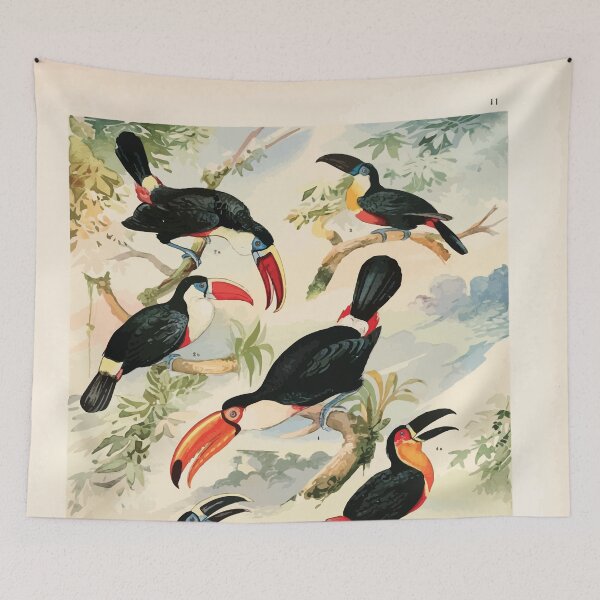 Item preview, Birds of the Amazon Album de aves amazonicas Emil Goldi 1906 013 Tucanos designed and sold by WetdryvacRB01.