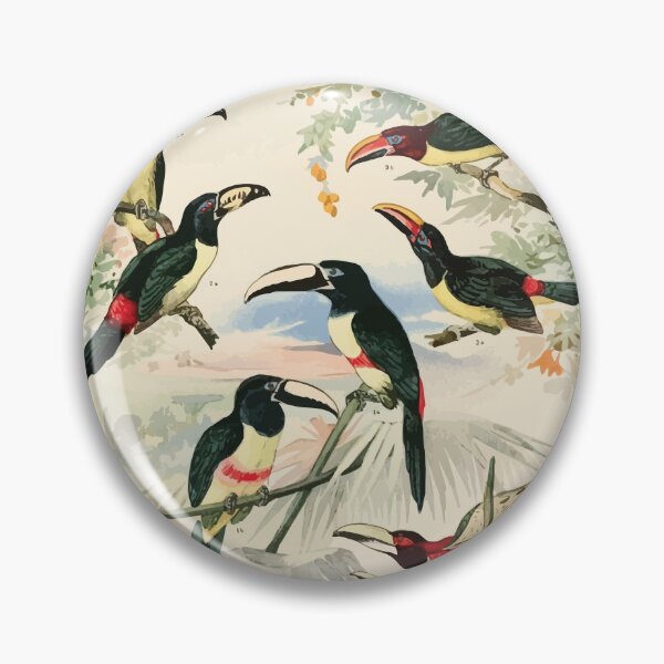 Item preview, Birds of the Amazon Album de aves amazonicas Emil Goldi 1906 014 Aracarys designed and sold by WetdryvacRB01.