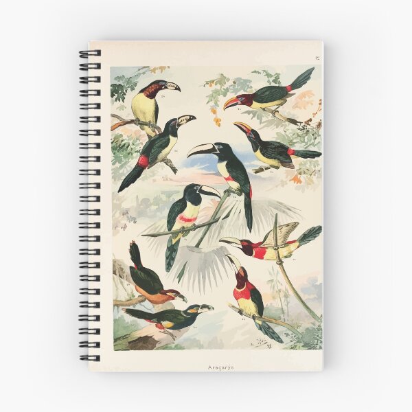 Item preview, Birds of the Amazon Album de aves amazonicas Emil Goldi 1906 014 Aracarys designed and sold by WetdryvacRB01.
