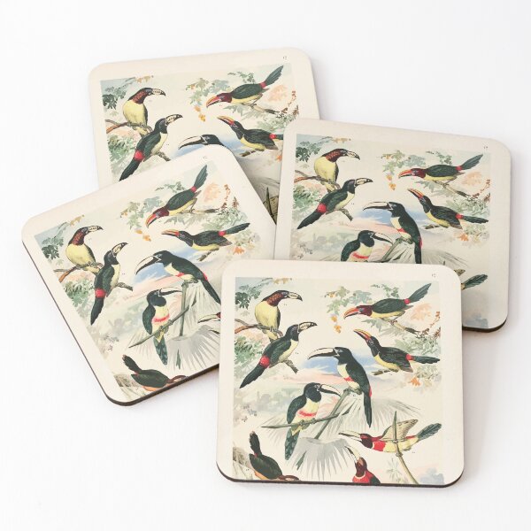 Item preview, Birds of the Amazon Album de aves amazonicas Emil Goldi 1906 014 Aracarys designed and sold by WetdryvacRB01.