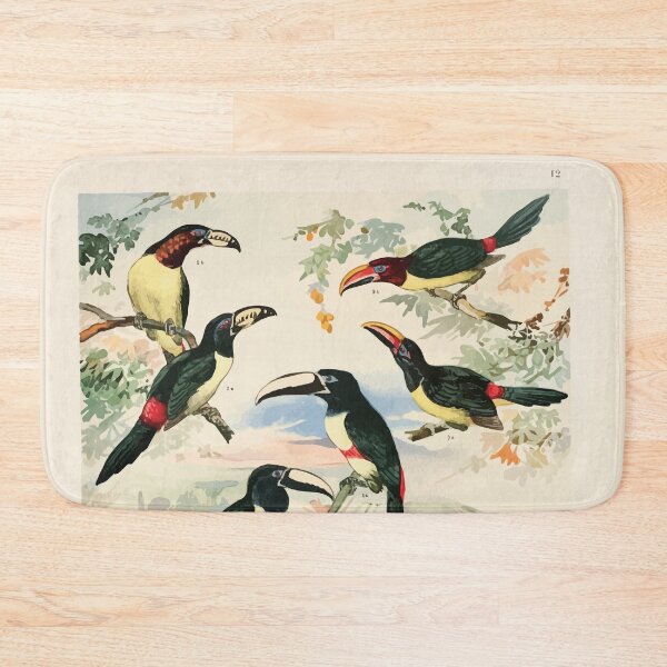 Item preview, Birds of the Amazon Album de aves amazonicas Emil Goldi 1906 014 Aracarys designed and sold by WetdryvacRB01.