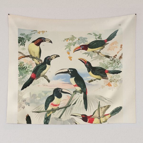 Item preview, Birds of the Amazon Album de aves amazonicas Emil Goldi 1906 014 Aracarys designed and sold by WetdryvacRB01.