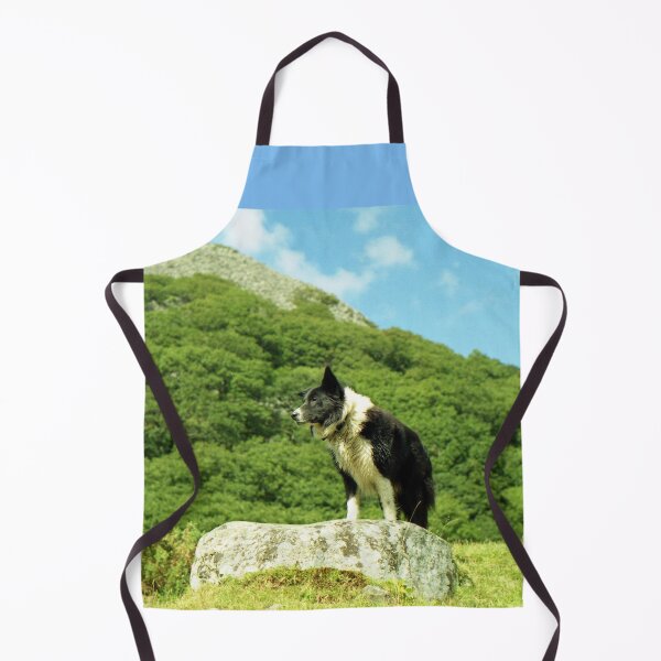 Item preview, High designed and sold by Michael Haslam.