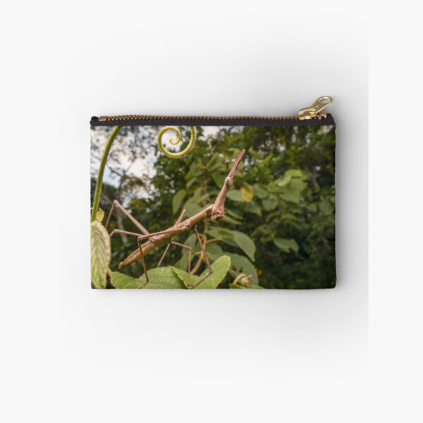 Item preview, Jumping Stick Vine Curl designed and sold by petermarting.