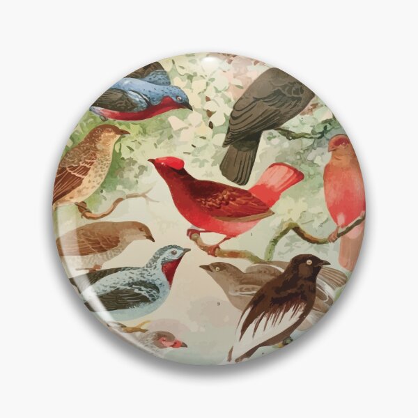 Item preview, Birds of the Amazon Album de aves amazonicas Emil Goldi 1906 015 Anambes designed and sold by WetdryvacRB01.