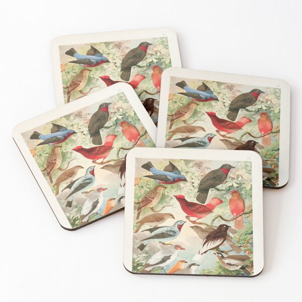 Item preview, Birds of the Amazon Album de aves amazonicas Emil Goldi 1906 015 Anambes designed and sold by WetdryvacRB01.
