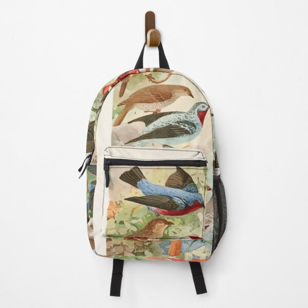 Item preview, Birds of the Amazon Album de aves amazonicas Emil Goldi 1906 015 Anambes designed and sold by WetdryvacRB01.