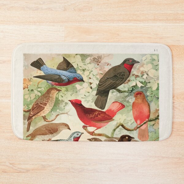 Item preview, Birds of the Amazon Album de aves amazonicas Emil Goldi 1906 015 Anambes designed and sold by WetdryvacRB01.