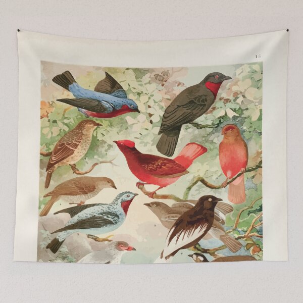Item preview, Birds of the Amazon Album de aves amazonicas Emil Goldi 1906 015 Anambes designed and sold by WetdryvacRB01.