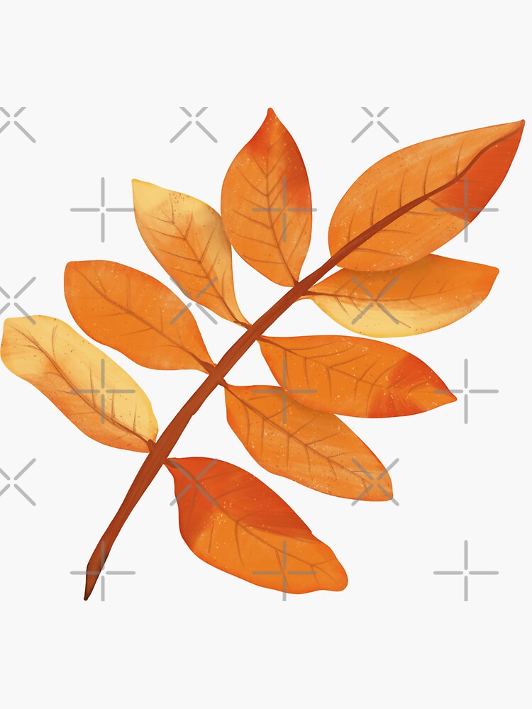 Orange Ash Autumn Leaf by KatLangeDesign