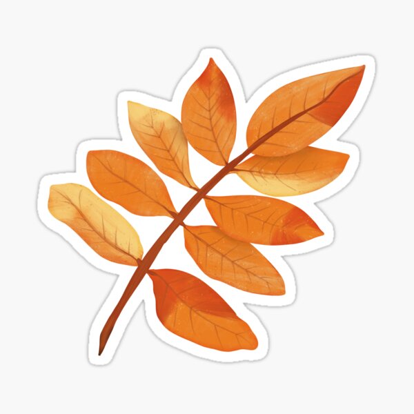 Orange Ash Autumn Leaf Sticker
