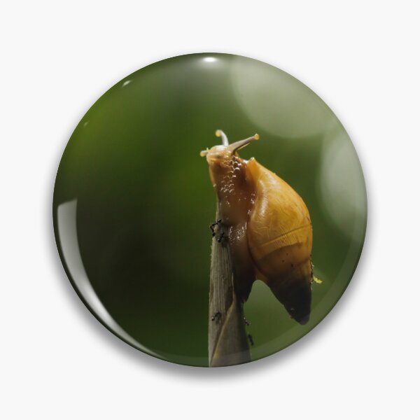 Item preview, Jorge the Snail designed and sold by petermarting.