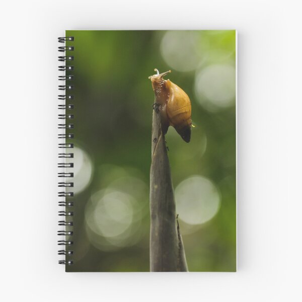 Item preview, Jorge the Snail designed and sold by petermarting.
