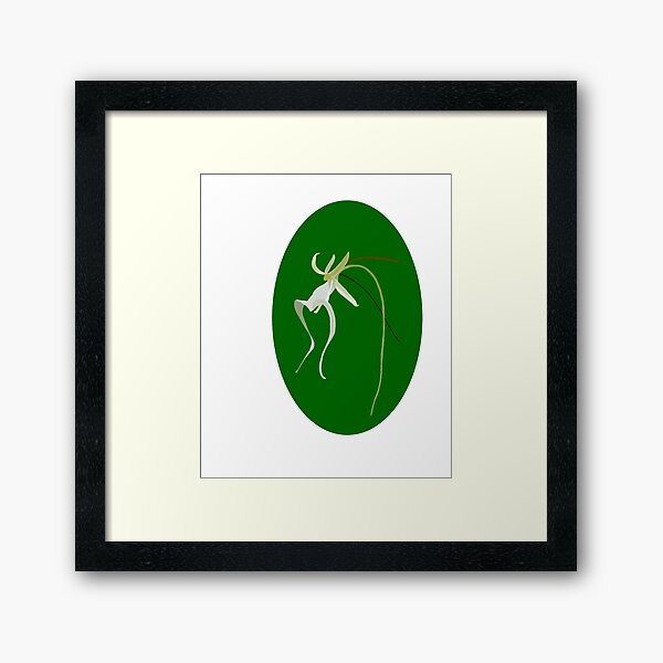Geisterorchidee oval Gerahmter Kunstdruck