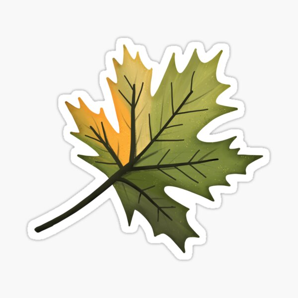 Green Maple Leaf Sticker