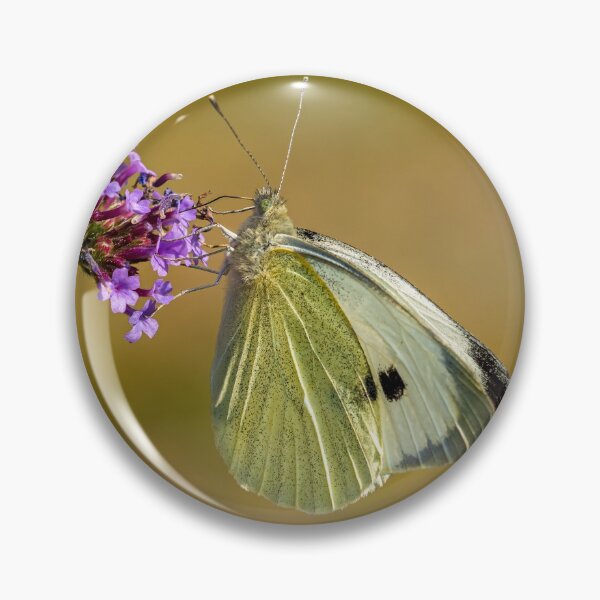 Item preview, Large White Butterfly. designed and sold by Postywood.