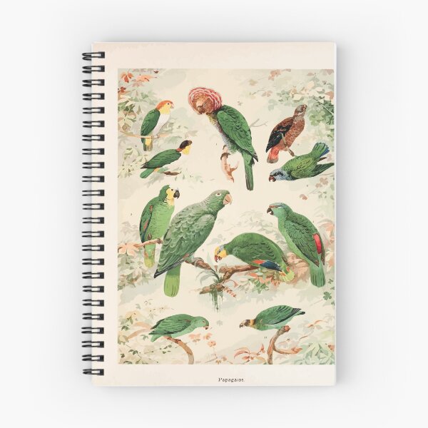 Item preview, Birds of the Amazon Album de aves amazonicas Emil Goldi 1906 017 Papagaios designed and sold by WetdryvacRB01.