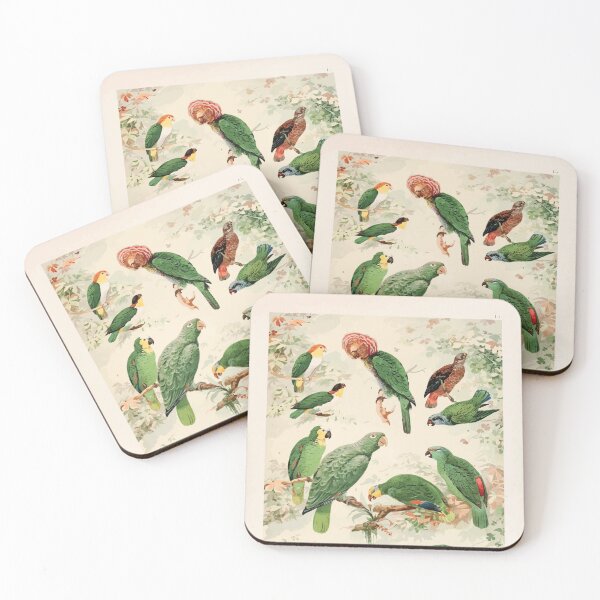 Item preview, Birds of the Amazon Album de aves amazonicas Emil Goldi 1906 017 Papagaios designed and sold by WetdryvacRB01.