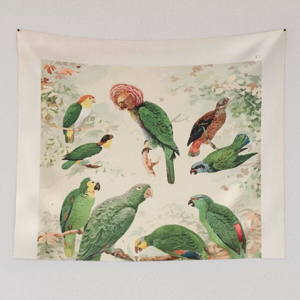 Item preview, Birds of the Amazon Album de aves amazonicas Emil Goldi 1906 017 Papagaios designed and sold by WetdryvacRB01.