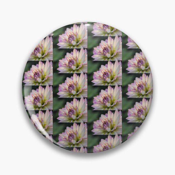 Item preview, Dahlia white with pink edging. designed and sold by John Ray.