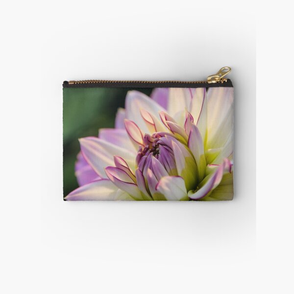 Item preview, Dahlia white with pink edging. designed and sold by John Ray.