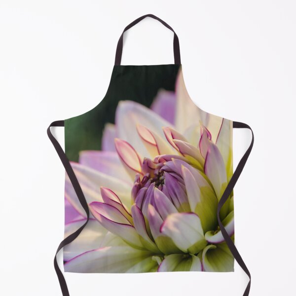 Item preview, Dahlia white with pink edging. designed and sold by John Ray.
