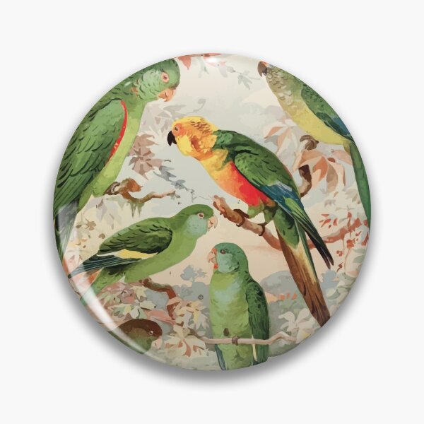 Item preview, Birds of the Amazon Album de aves amazonicas Emil Goldi 1906 018 Periquitos Maracana Jendaya Tuim designed and sold by WetdryvacRB01.