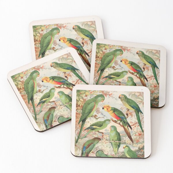 Item preview, Birds of the Amazon Album de aves amazonicas Emil Goldi 1906 018 Periquitos Maracana Jendaya Tuim designed and sold by WetdryvacRB01.
