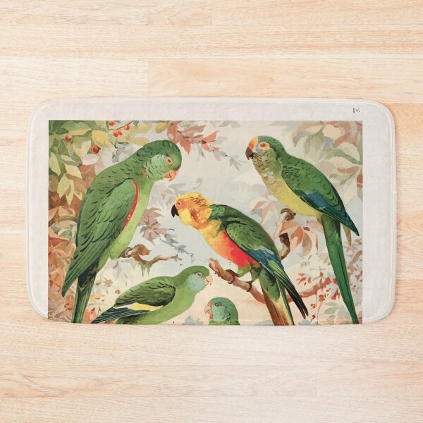Item preview, Birds of the Amazon Album de aves amazonicas Emil Goldi 1906 018 Periquitos Maracana Jendaya Tuim designed and sold by WetdryvacRB01.