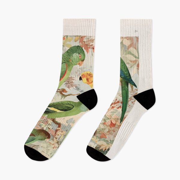 Item preview, Birds of the Amazon Album de aves amazonicas Emil Goldi 1906 018 Periquitos Maracana Jendaya Tuim designed and sold by WetdryvacRB01.
