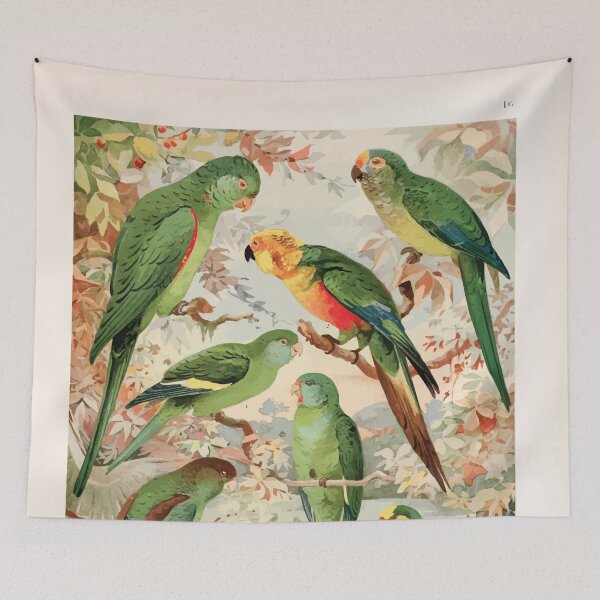 Item preview, Birds of the Amazon Album de aves amazonicas Emil Goldi 1906 018 Periquitos Maracana Jendaya Tuim designed and sold by WetdryvacRB01.