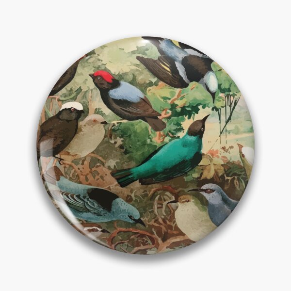 Item preview, Birds of the Amazon Album de aves amazonicas Emil Goldi 1906 019 Uira purus Rendeiras Sahys designed and sold by WetdryvacRB01.
