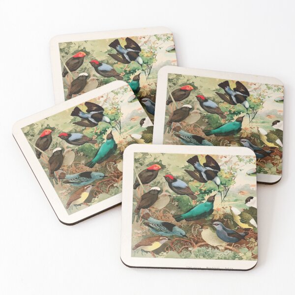 Item preview, Birds of the Amazon Album de aves amazonicas Emil Goldi 1906 019 Uira purus Rendeiras Sahys designed and sold by WetdryvacRB01.