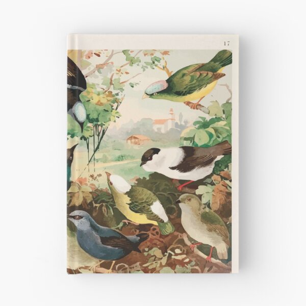 Item preview, Birds of the Amazon Album de aves amazonicas Emil Goldi 1906 019 Uira purus Rendeiras Sahys designed and sold by WetdryvacRB01.