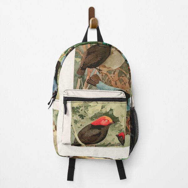 Item preview, Birds of the Amazon Album de aves amazonicas Emil Goldi 1906 019 Uira purus Rendeiras Sahys designed and sold by WetdryvacRB01.