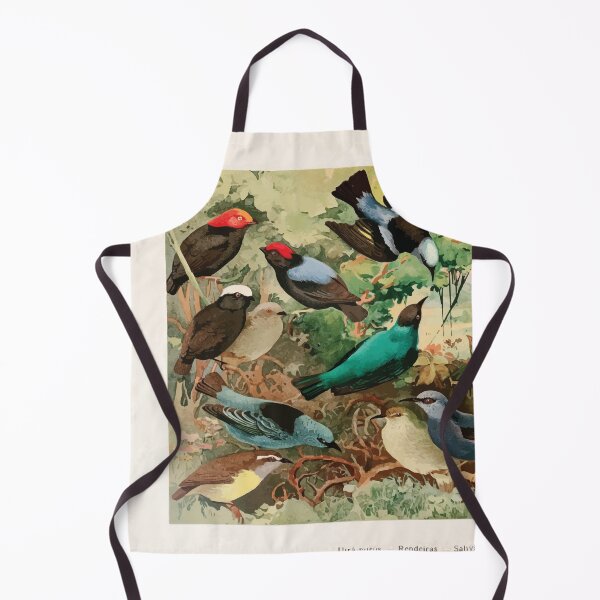 Item preview, Birds of the Amazon Album de aves amazonicas Emil Goldi 1906 019 Uira purus Rendeiras Sahys designed and sold by WetdryvacRB01.