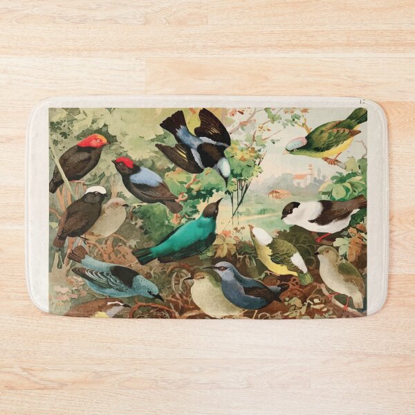Item preview, Birds of the Amazon Album de aves amazonicas Emil Goldi 1906 019 Uira purus Rendeiras Sahys designed and sold by WetdryvacRB01.