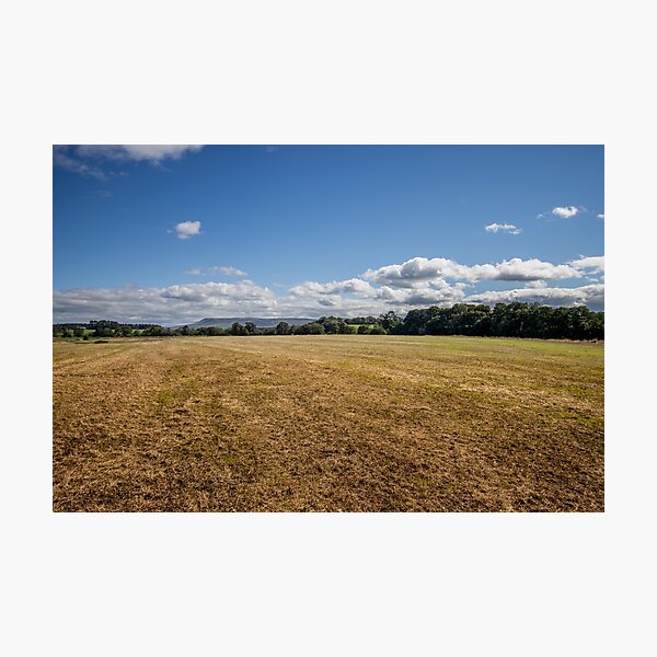 Fields of gold Photographic Print