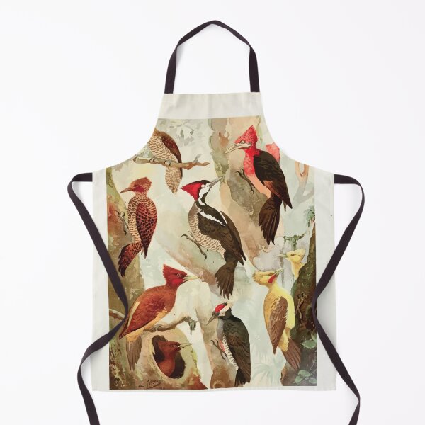 Item preview, Birds of the Amazon Album de aves amazonicas Emil Goldi 1906 020 Picapaus Jpecu designed and sold by WetdryvacRB01.