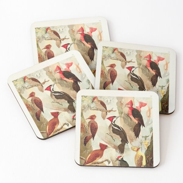 Item preview, Birds of the Amazon Album de aves amazonicas Emil Goldi 1906 020 Picapaus Jpecu designed and sold by WetdryvacRB01.