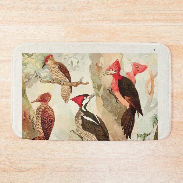 Item preview, Birds of the Amazon Album de aves amazonicas Emil Goldi 1906 020 Picapaus Jpecu designed and sold by WetdryvacRB01.