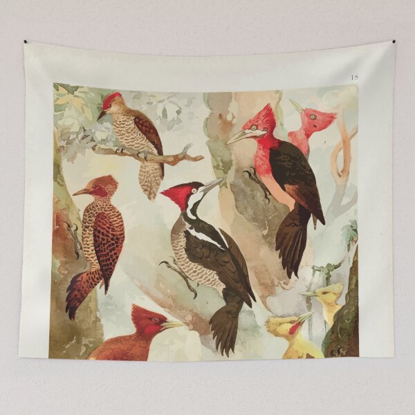 Item preview, Birds of the Amazon Album de aves amazonicas Emil Goldi 1906 020 Picapaus Jpecu designed and sold by WetdryvacRB01.