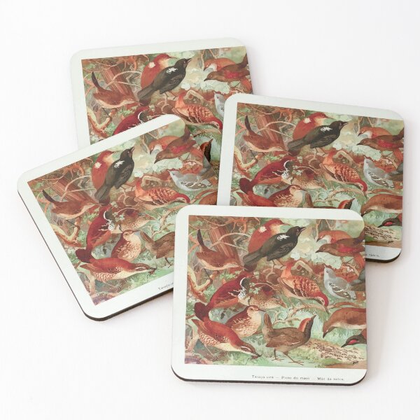 Item preview, Birds of the Amazon Album de aves amazonicas Emil Goldi 1906 021 Taiacu uira Pindo do Mato Mae da Taoca designed and sold by WetdryvacRB01.