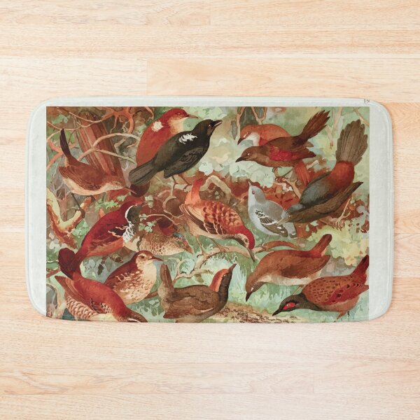 Item preview, Birds of the Amazon Album de aves amazonicas Emil Goldi 1906 021 Taiacu uira Pindo do Mato Mae da Taoca designed and sold by WetdryvacRB01.