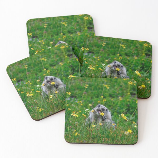 Item preview, Diggin' the Daisies  designed and sold by Karen Peron.