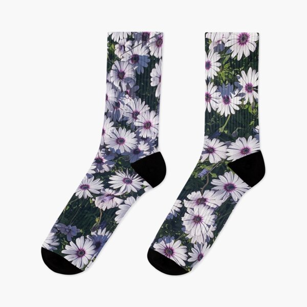 Item preview, African Daisies designed and sold by meleyart.