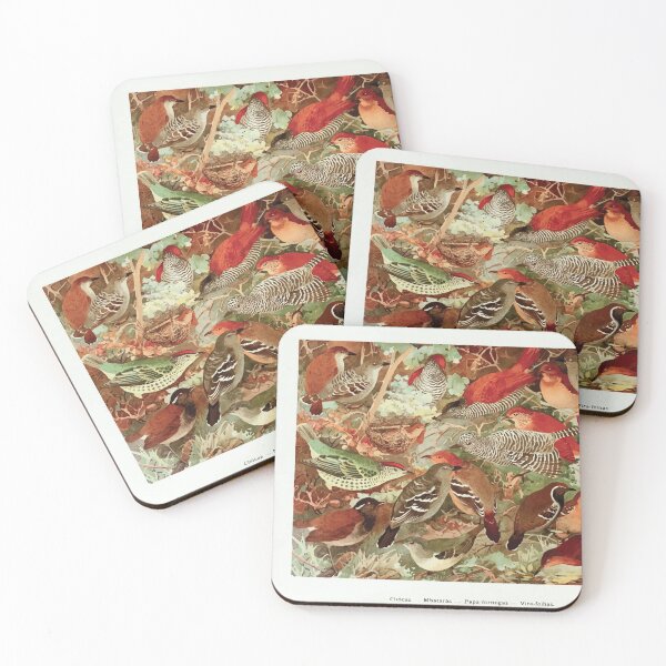 Item preview, Birds of the Amazon Album de aves amazonicas Emil Goldi 1906 022 Chocas Mbataras Papa formigas Vira folhas designed and sold by WetdryvacRB01.